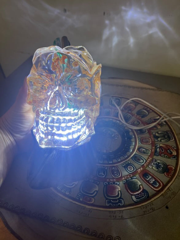 Large Artisanal Skull with LED & natural Flowers - Unique Decorative Piece 13cm / 5.12”