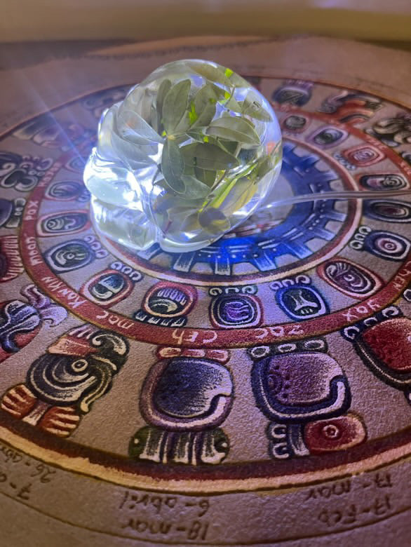 Handcrafted Resin Skull with Sacred plant inclusion and Integrated Light - Unique Decoration 8cm/3.14”