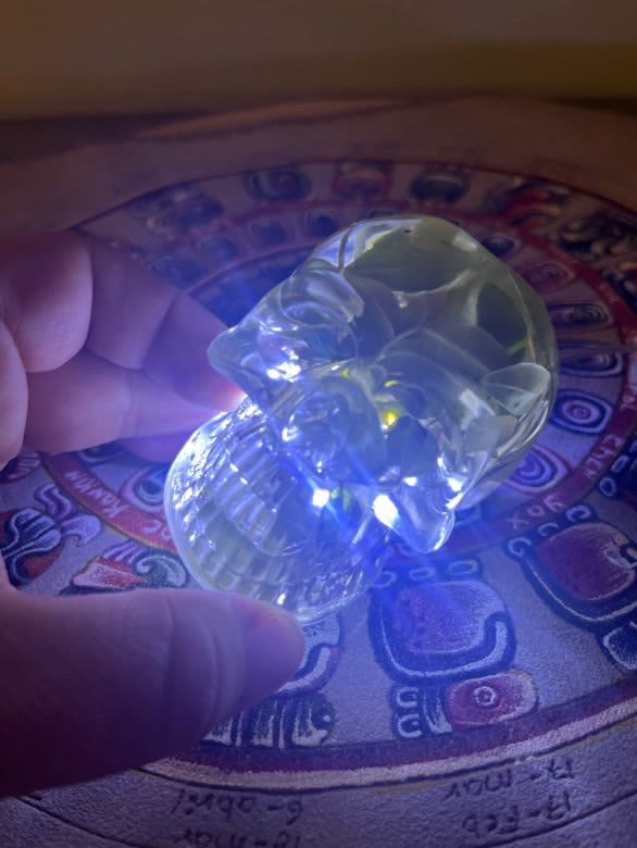 Handcrafted Resin Skull with Sacred plant inclusion and Integrated Light - Unique Decoration 8cm/3.14”