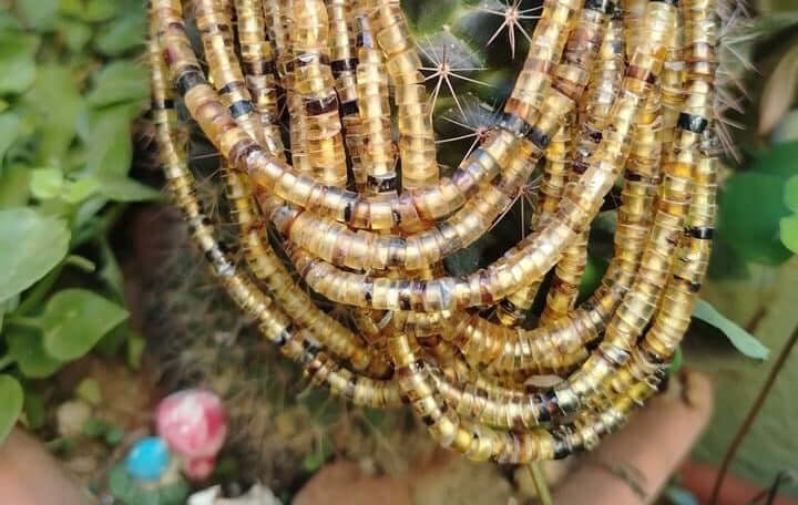 Authentic Mexican Amber Strips beads from Chiapas Region - Natural & Genuine