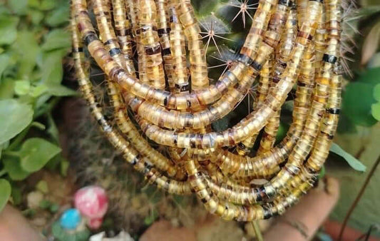 Authentic Mexican Amber Strips beads from Chiapas Region - Natural & Genuine