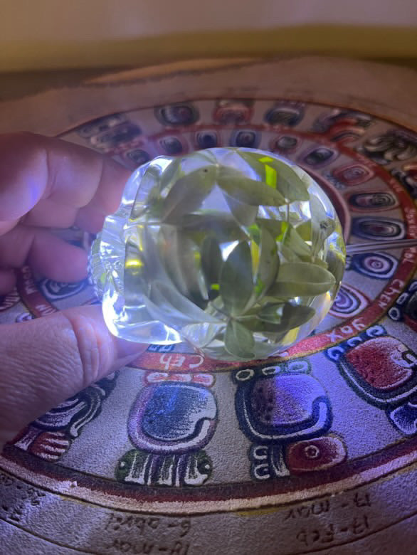 Handcrafted Resin Skull with Sacred plant inclusion and Integrated Light - Unique Decoration 8cm/3.14”