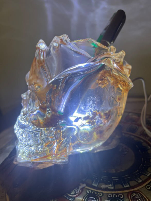 Large Artisanal Skull with LED & natural Flowers - Unique Decorative Piece 13cm / 5.12”