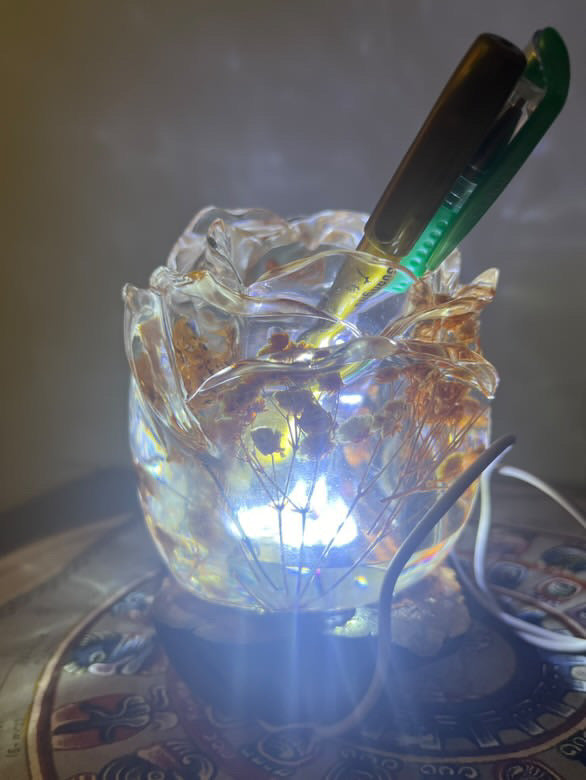 Large Artisanal Skull with LED & natural Flowers - Unique Decorative Piece 13cm / 5.12”