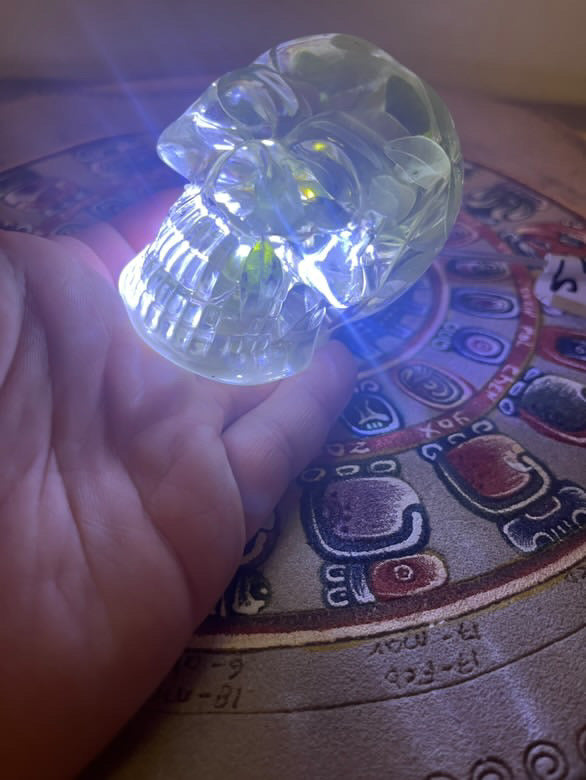 Handcrafted Resin Skull with Sacred plant inclusion and Integrated Light - Unique Decoration 8cm/3.14”