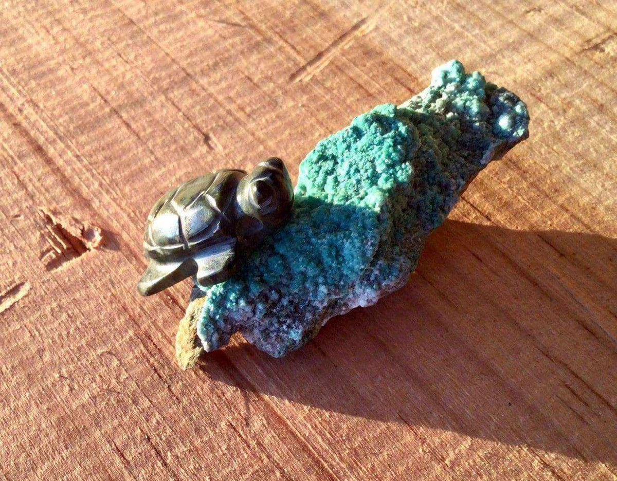 turtle pendant - green stone guatemalan jade, mayan serpentine