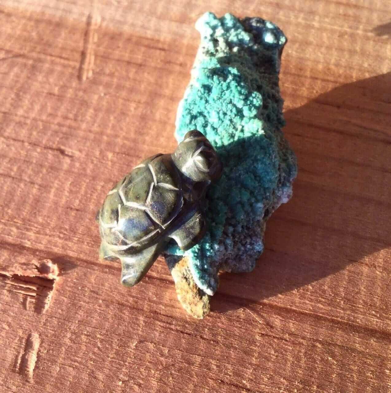 turtle pendant - green stone guatemalan jade, mayan serpentine