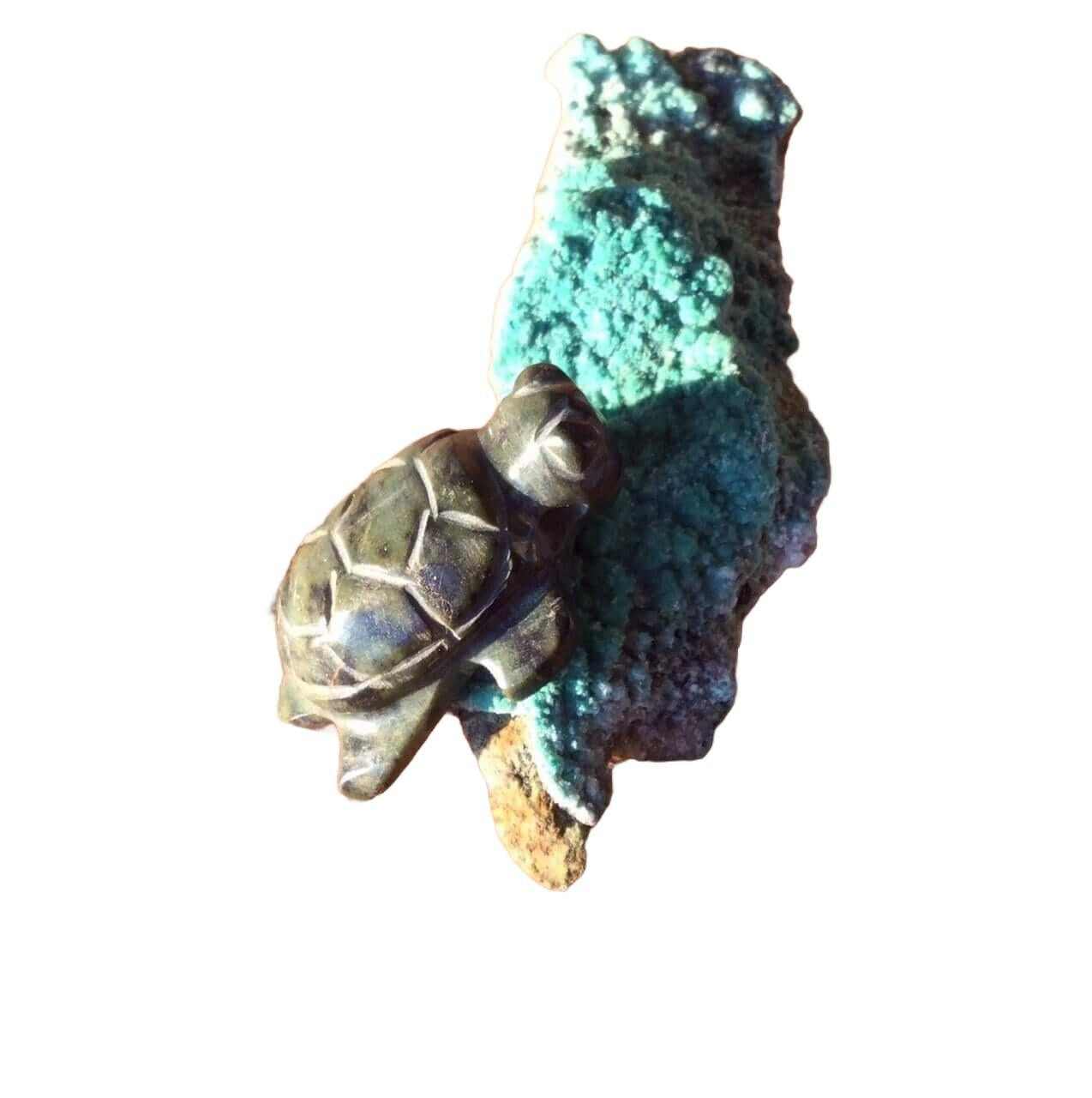 turtle pendant - green stone guatemalan jade, mayan serpentine