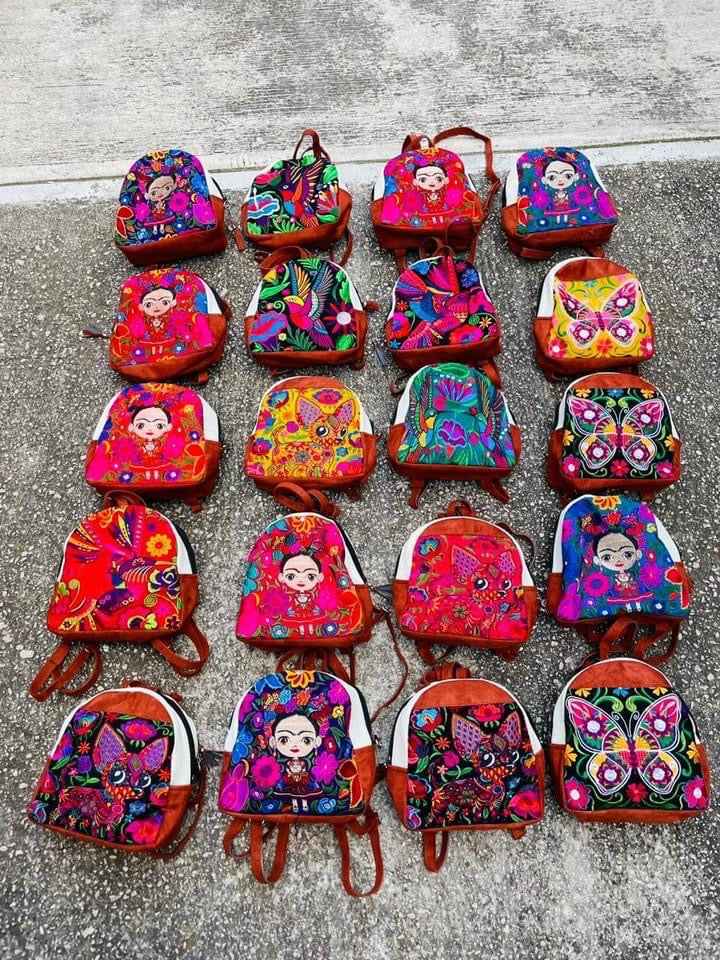 Flowers of Mexico : Embroidered mini backpack Handmade Bag